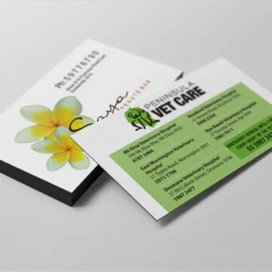 Magnetic Business Cards